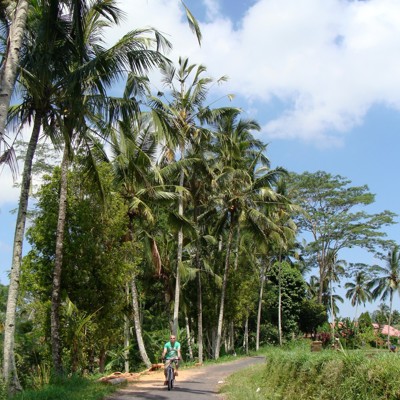 Fietstocht Ubud (inclusief lunch)