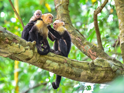 Route Suriname, 18 dagen - Dag 15