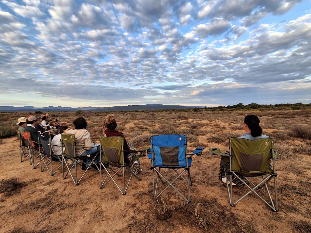 17. Oudtshoorn Stokstaartjes (9)