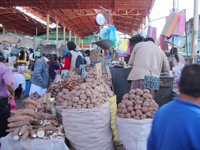 Route Peru inclusief Amazone, 24 dagen - Day 3
