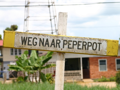 Route Suriname, 26 dagen (2019) - Dag 20