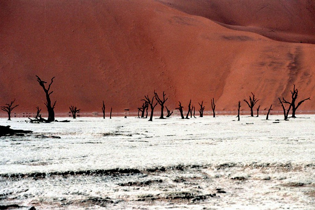 Deadvlei Namibië