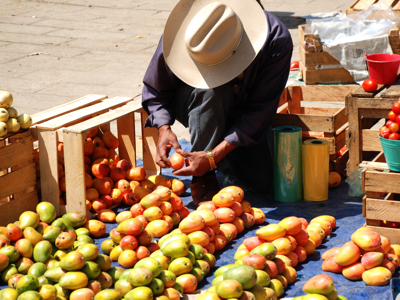 Route Ruta Maya reis, 23 dagen - Dag 8