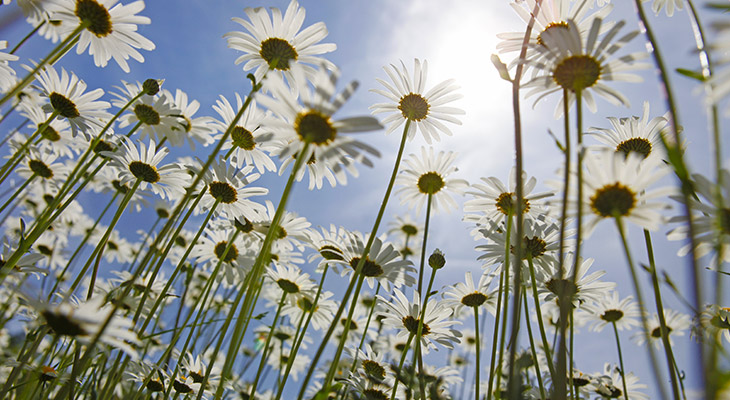 Fotografietips voor kinderen - speel met perspectief