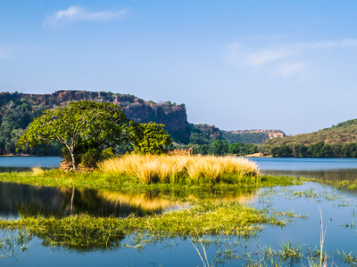 Route Noord - India en Nepal, 30 dagen OUD - Day 5