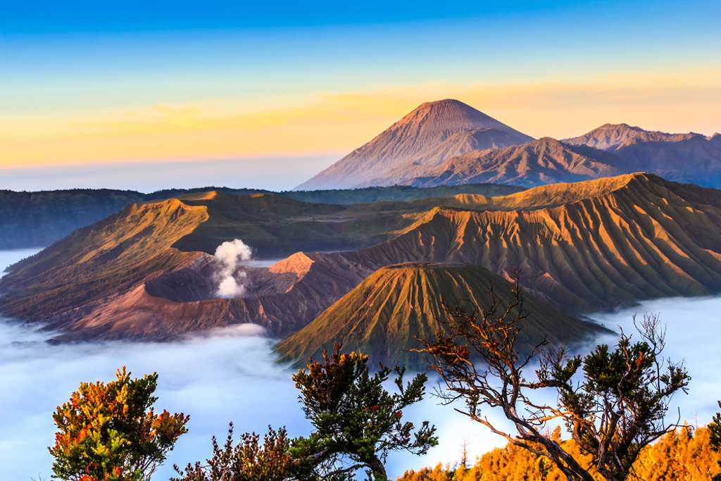 Bromo