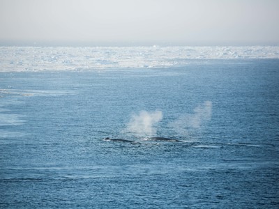 Route Groenland, 15 dagen - Dag 3
