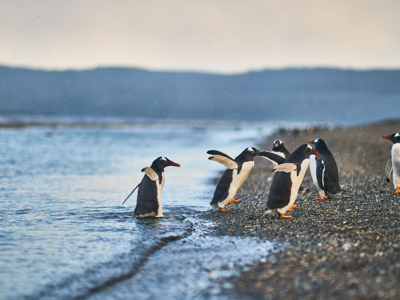 Route Patagonië Hoogtepunten, 18 dagen - Dag 4