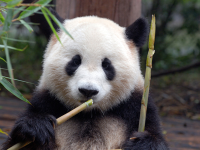 Route China, 23 dagen 2016 - Day 10