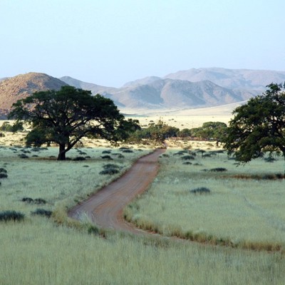 familiereis Zuidelijk Afrika Namibrand