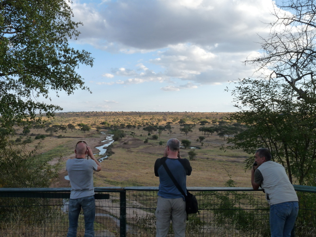 main_Tanzania_-_Tarangire_NP__43_.jfif