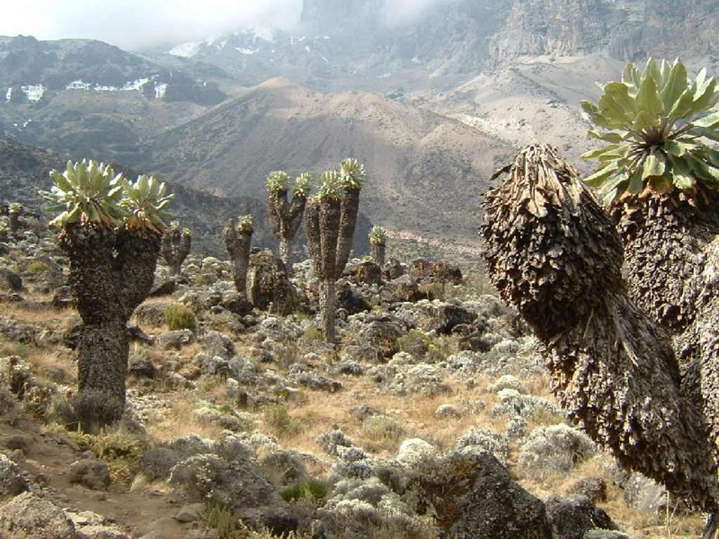 Rondreis Tanzania - Kilimanjaro