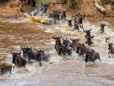 Kenia, Tanzania en Zanzibar, 22 dagen - Dag 11