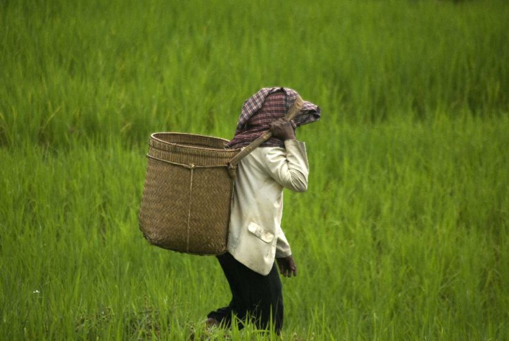 Trekking Toraja Indonesië