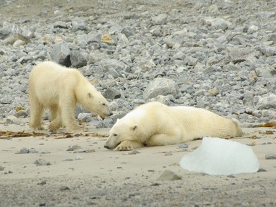 Route 10 dagen Spitsbergen - Dag 3