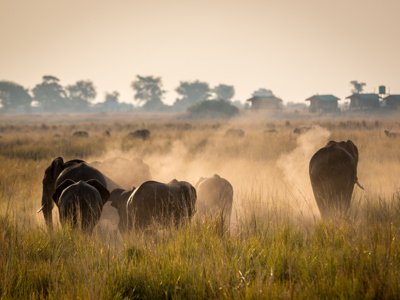 Tuinroute, 18 dagen - Dag 10