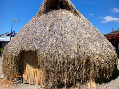 Route Patagonië / Paaseiland, 30 dagen - Dag 4