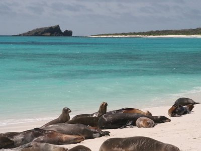 Route Ecuador en Galapagos, 21 dagen - Day 21