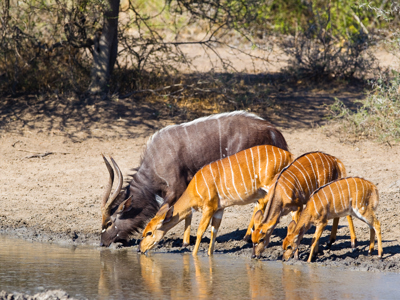 Route Johannesburg - Kaapstad - Dag 7