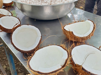 Route Costa Rica 2025 - Day 15