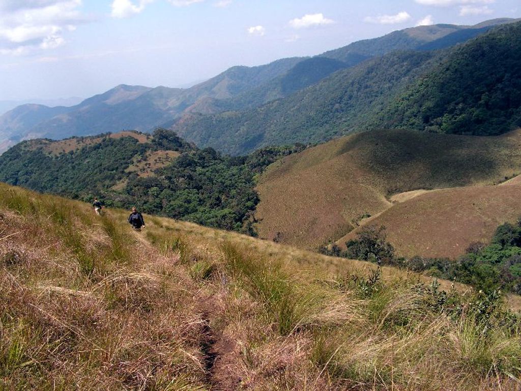 Nyika plateau