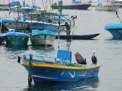 Vertrek 21 november 2020 - Day 19