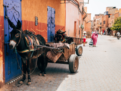 Route Andalusië & Marokko, 14 dagen - Day 14