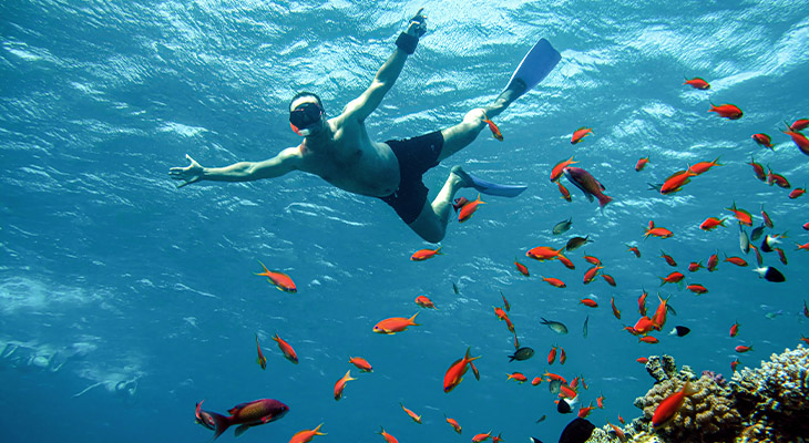 Raak wilde dieren niet aan 