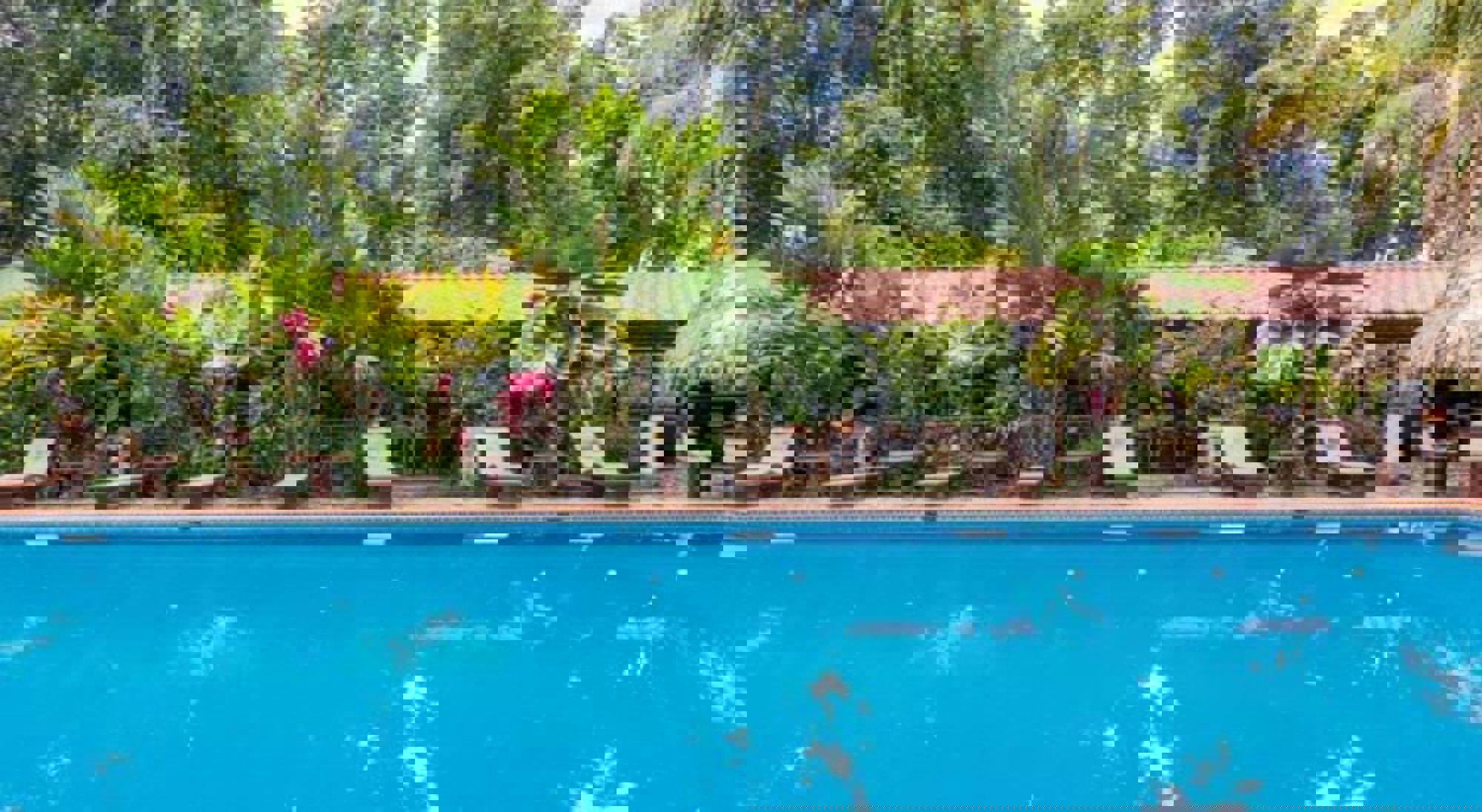 Accommodatie Cahuita