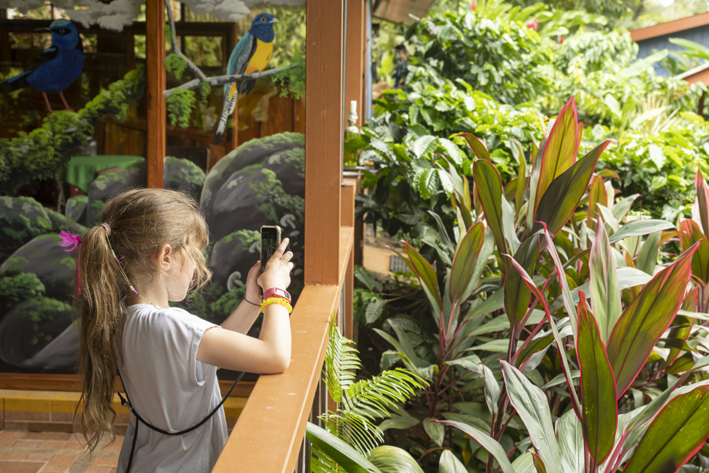 CRF fotoalbum (9).jpg