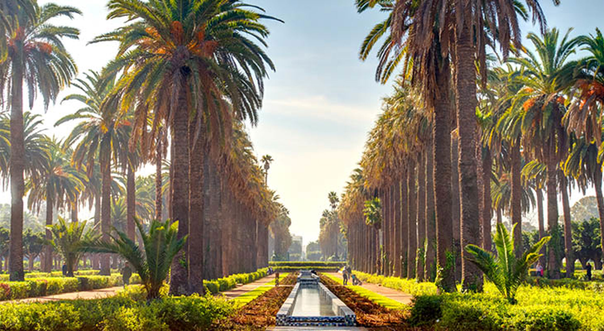 Casablanca Casablanca