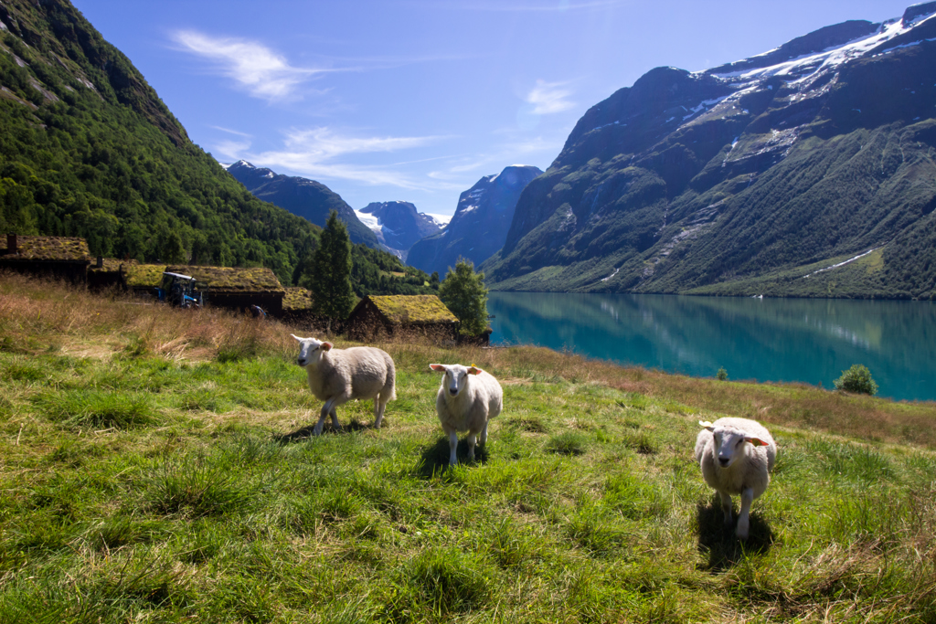 Groepsrondreis Noorwegen