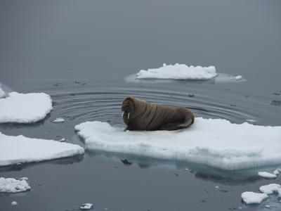 Zeilreis met de Antigua 2020 - Dag 11