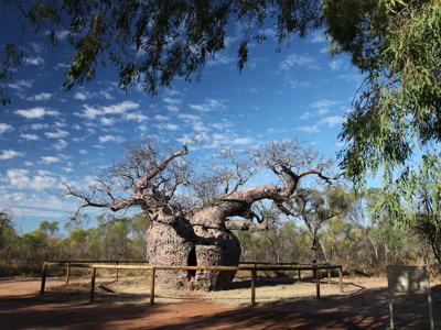 Route West Australië, 25 dagen - Dag 15