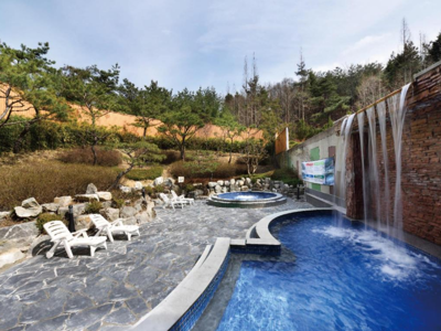 buiennzwembad plus jacuzzi