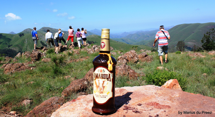 Amarula in zuid afrika Amarula in zuid afrika
