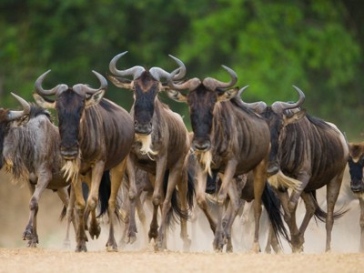 Route 22-35 Kenia & Tanzania, 20 dagen - Day 8