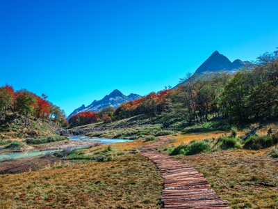 Route rondreis Antarctica 18 dagen - Dag 16