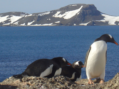 Antarctica Route - Dag 13