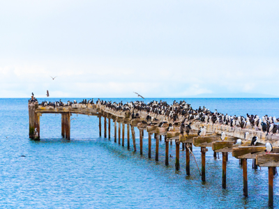 Route Patagonië Hoogtepunten, 18 dagen - Dag 8