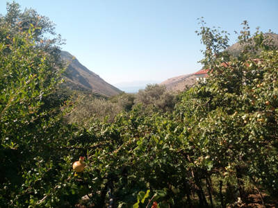 Route Albanië - Day 7