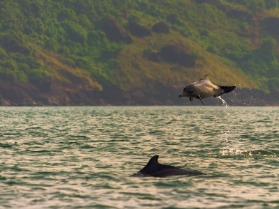 India 22-35, 20 dagen - Day 17